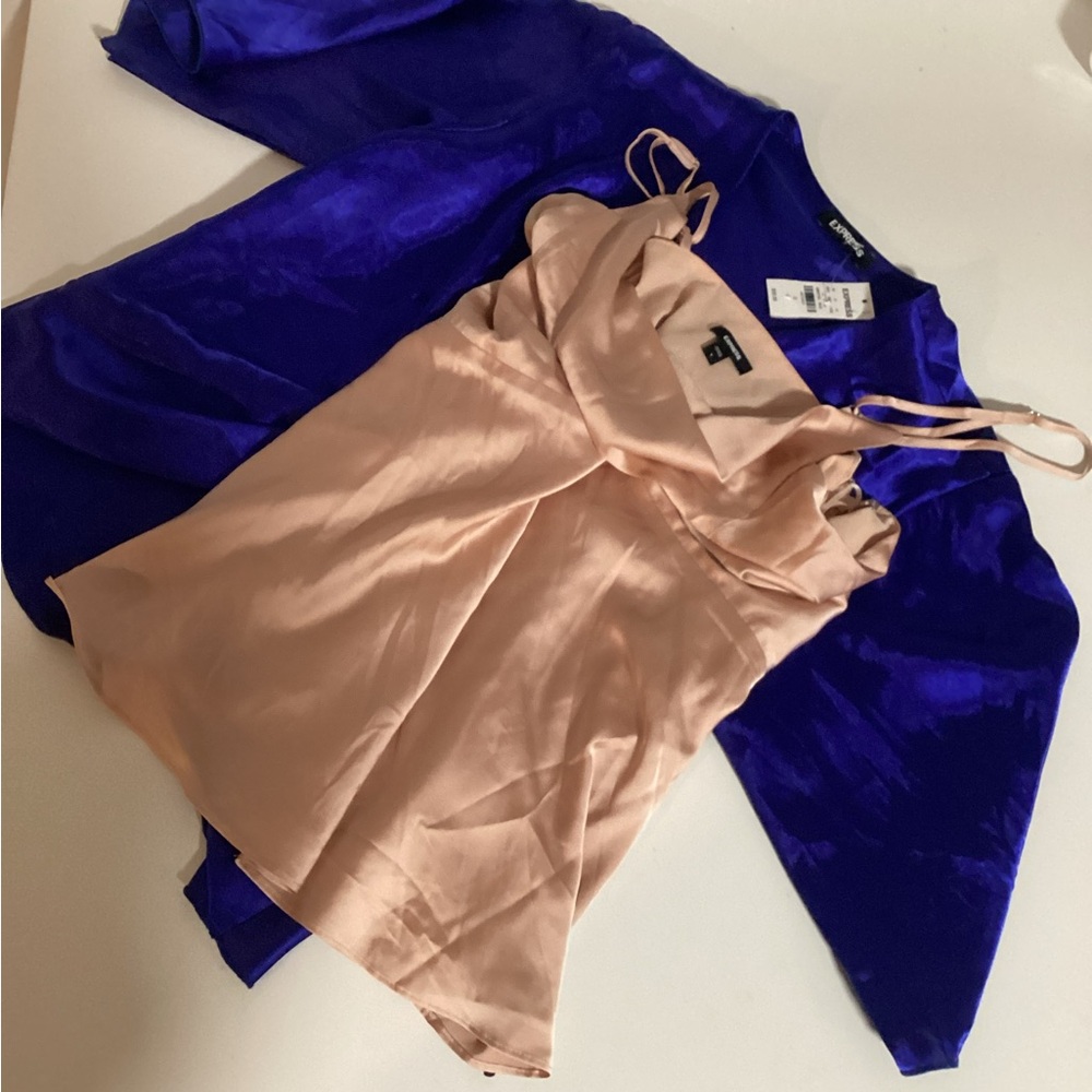 Express Blue Blouse and Pink Satin Top